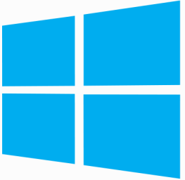 windows 8 icon